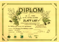 diplom mladší žáci